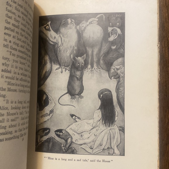 RARE 1901 Alice’s Adventures in Wonderland, Lewis Carroll, Illust. Peter Newell - Picture 5 of 11